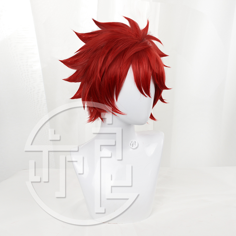 Anime SK8 the Infinity Reki Co - Anime Cosplay With Red Hair recensie en prijs