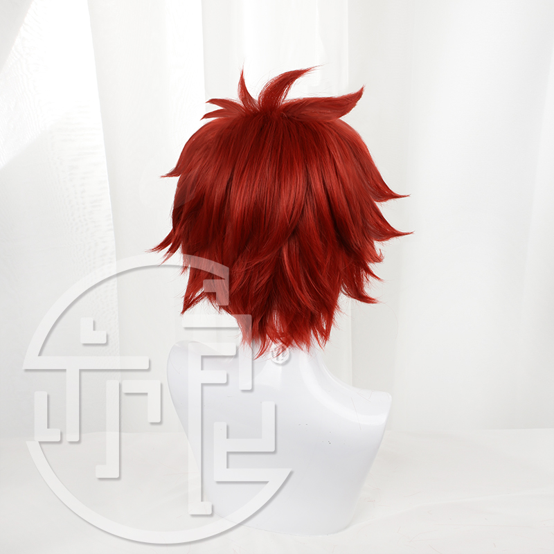 Anime SK8 the Infinity Reki Co - Anime Cosplay With Red Hair recensie en prijs