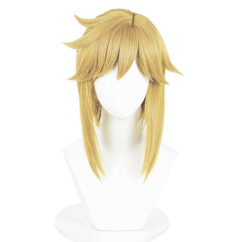 Anime Link Cosplay Wigs Prince - Anime Cosplay Link recensie en prijs