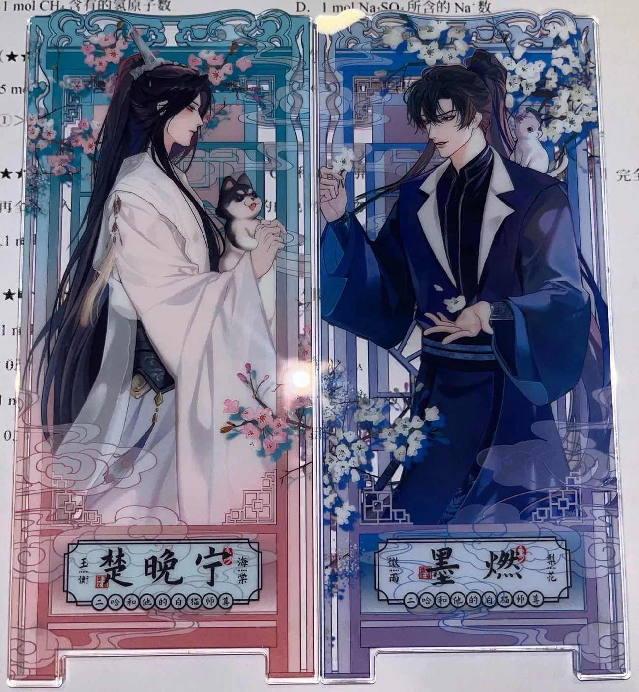 The Husky and His White Cat Sh - Anime Cosplay Cat recensie en prijs